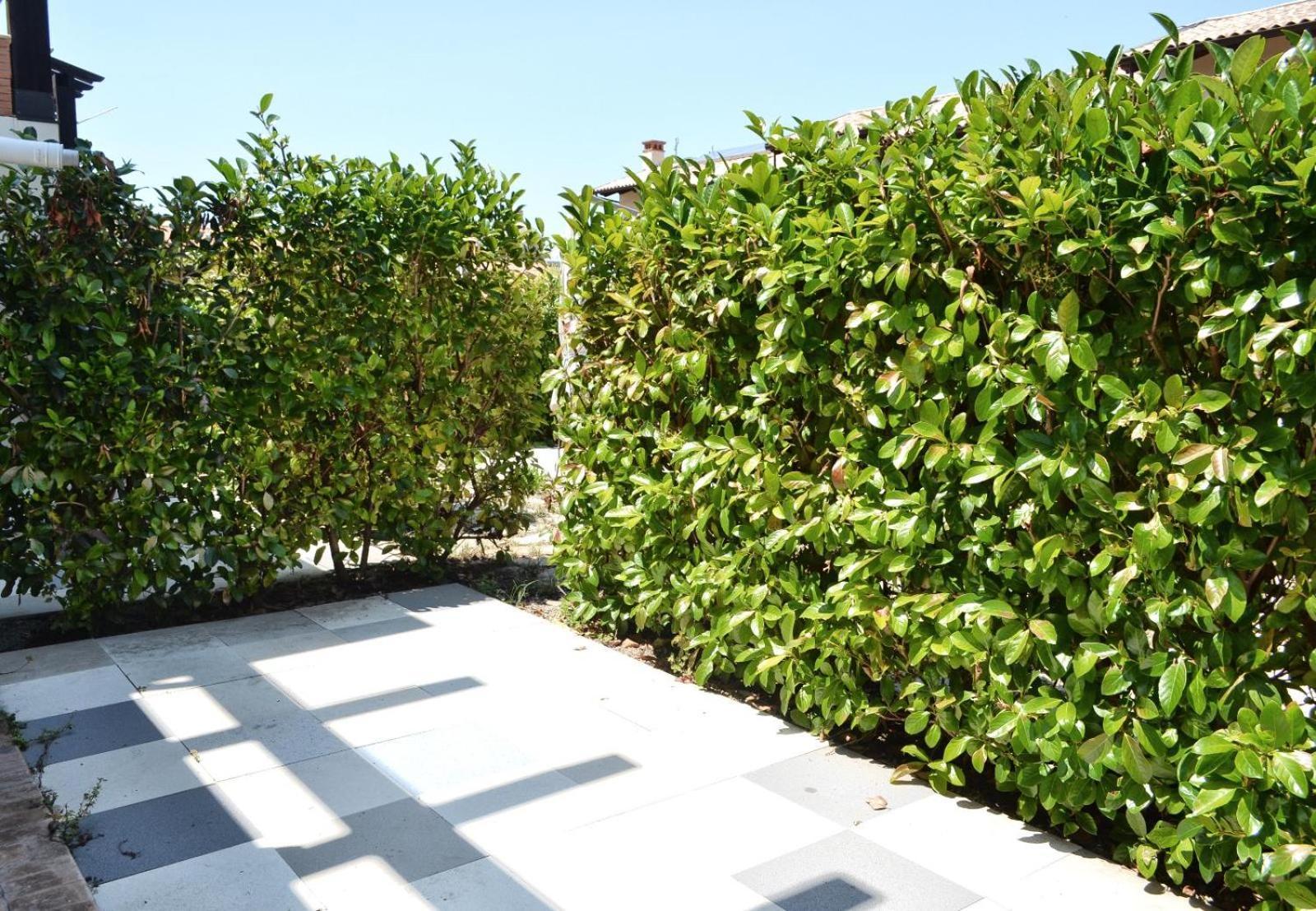 Le Case Del Carmine Con Giardino E Parcheggio A Tropea Extérieur photo